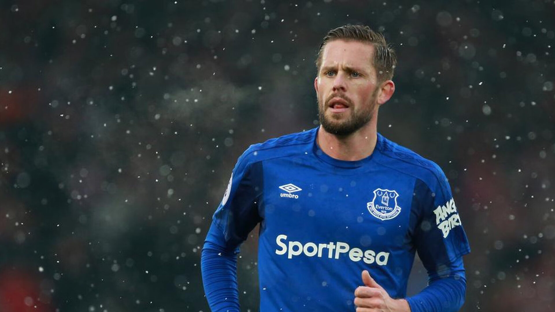 彼得堡联锋线效率飙升，波什军团盼三连胜，彼得堡的位置