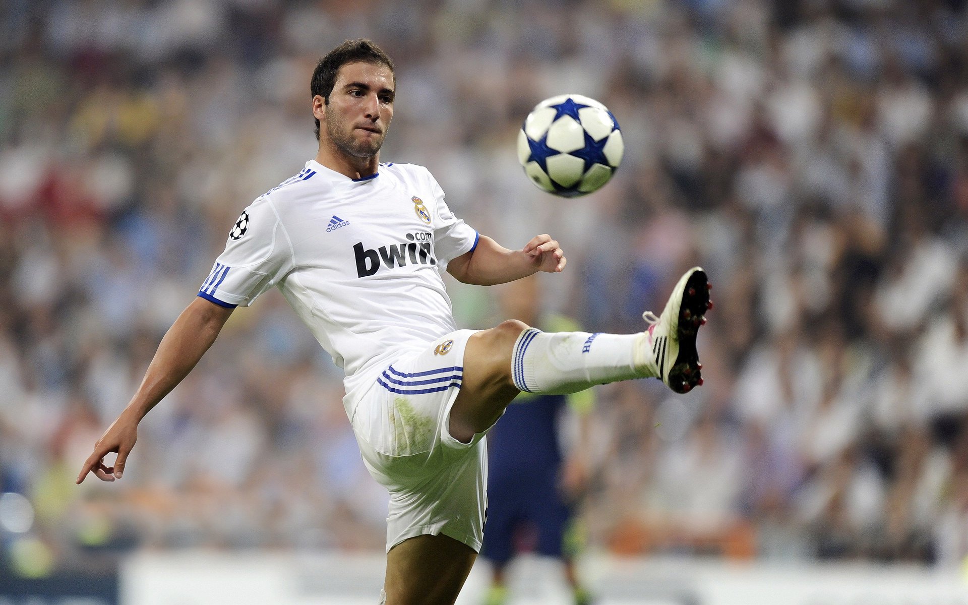 青少年足球主题公益广告遍布城市街头,营造良好的体育氛围,青少年足球宣传语